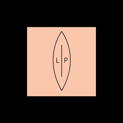 Logotipo em folha cor de pêssego com letras L e P