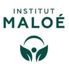 Logotipo do Instituto Maloé com figura humana estilizada e folhas verdes.