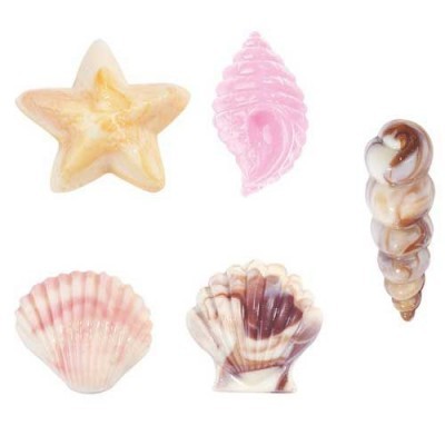 Sabonetes em forma de conchas e estrela-do-mar, em várias cores em fundo branco