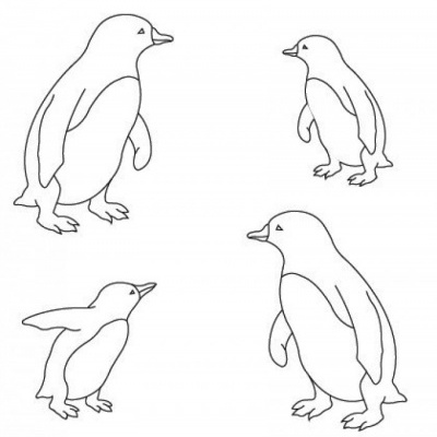 Desenho a preto e branco de quatro pinguins em diferentes poses.