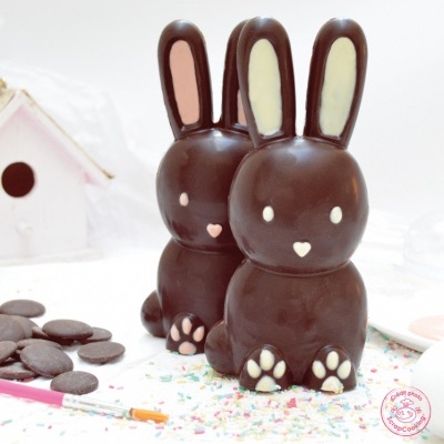 Dois coelhinhos de chocolate em superfície com granulados coloridos e discos de chocolate