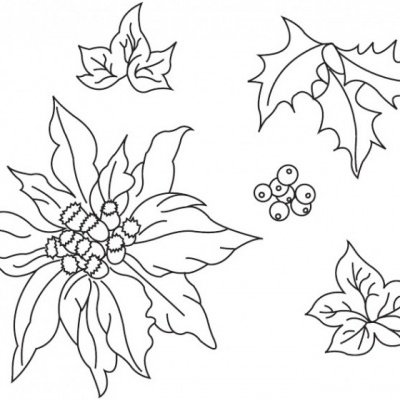 Desenhos a preto e branco de folhas e bagas para pintar