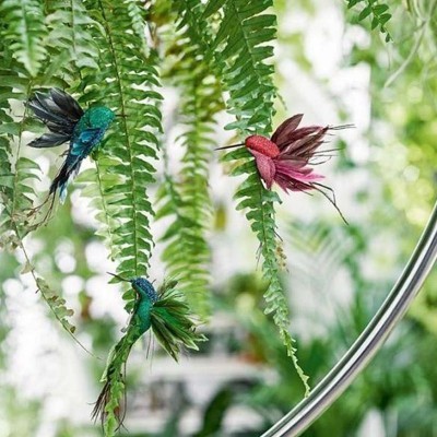 Três pássaros decorativos coloridos pendurados em folhas de samambaia