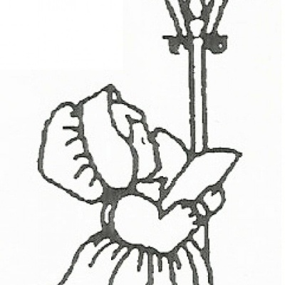 Desenho a preto e branco de criança com vestido junto a poste de luz com pássaro