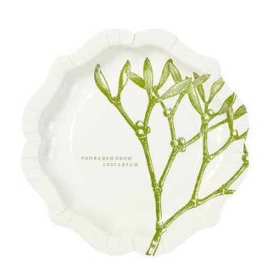 Prato branco decorativo com ramo verde e texto PHORADENDRON LEUCARPUM