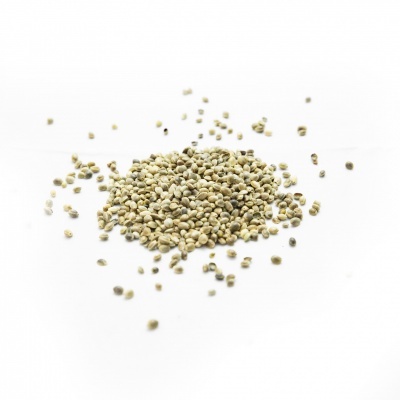 Grão seco bege sobre fundo branco