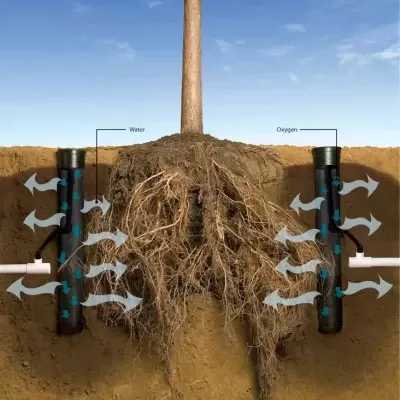 Sistema de condutas pretas perfuradas para irrigação e oxigenação das raízes de uma árvore