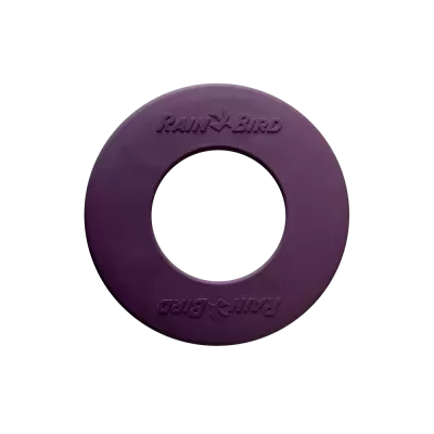 Anel roxo circular com texto RAIN BIRD em relevo