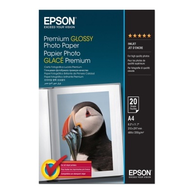 Caixa de papel fotográfico brilhante Epson A4 com imagem de pássaro na frente