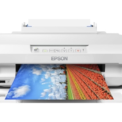 Impressora Epson a imprimir foto de campo colorida