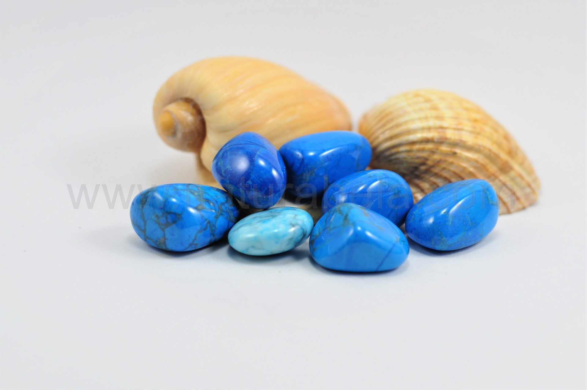 Turquenite Turquenite