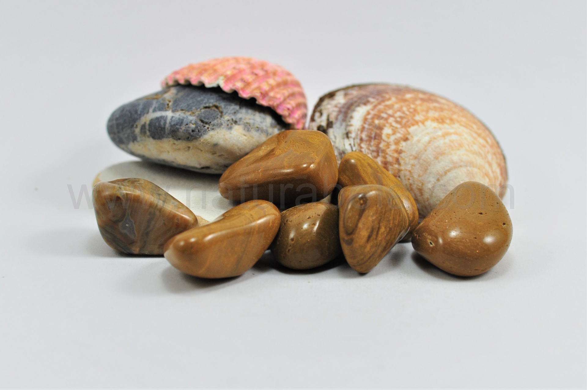 Jaspe Amarelo Jaspe Amarelo