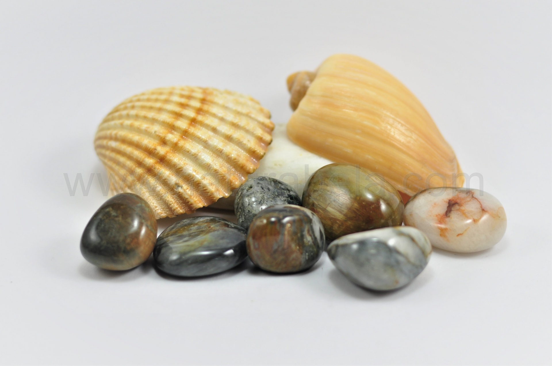 Olho de Gato Olho de Gato