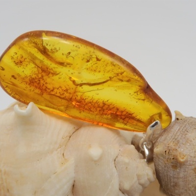 Pendente Âmbar Prata 925