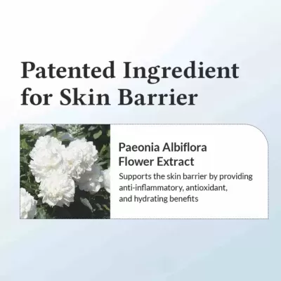 Dr.&#x20;Althea&#x20;147&#x20;Barrier&#x20;Cream&#x20;50ml