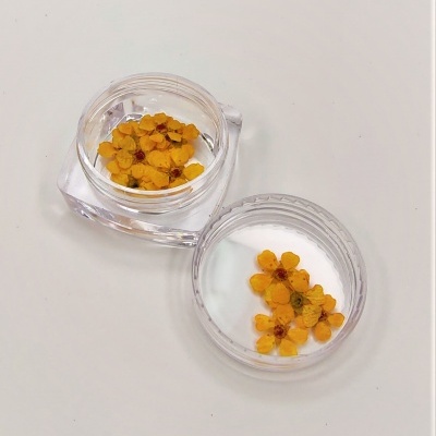 Frasco transparente com flores secas amarelas sobre mesa branca