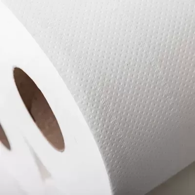Rolos de papel higiénico branco com textura pontilhada