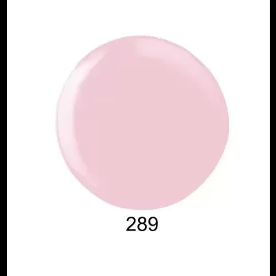 Verniz&#x20;Gel&#x20;Andreia&#x20;289