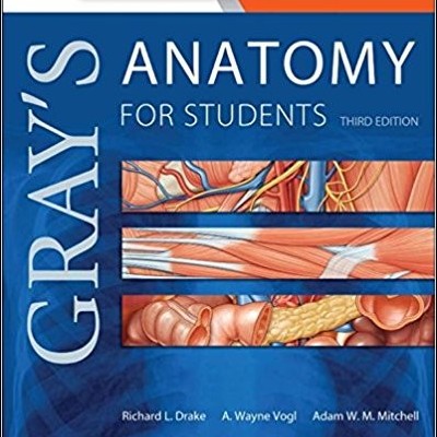 Capa azul do livro Gray's Anatomy for Students com ilustrações anatómicas