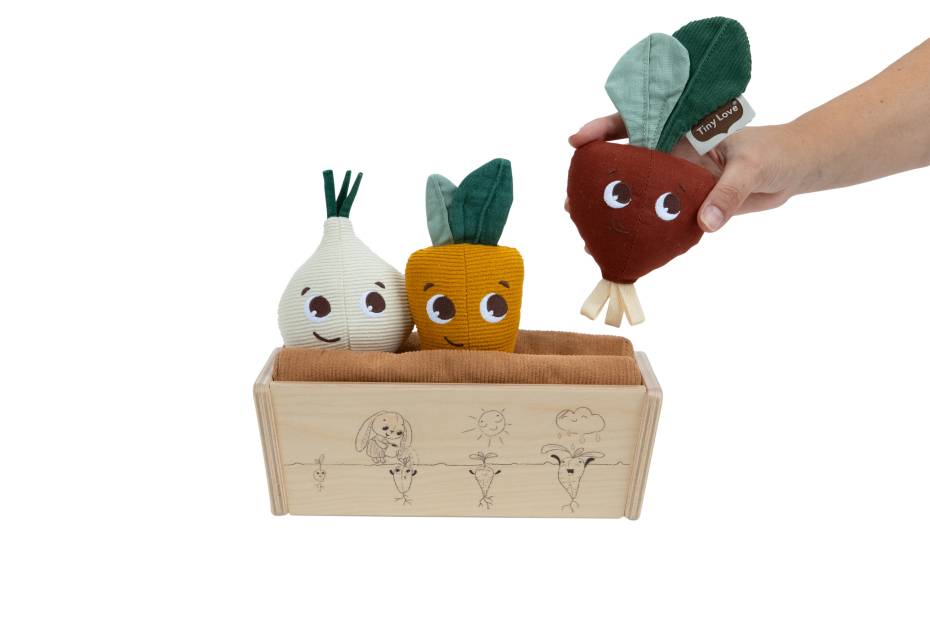 Brinquedos de legumes de tecido e caixa de madeira decorada