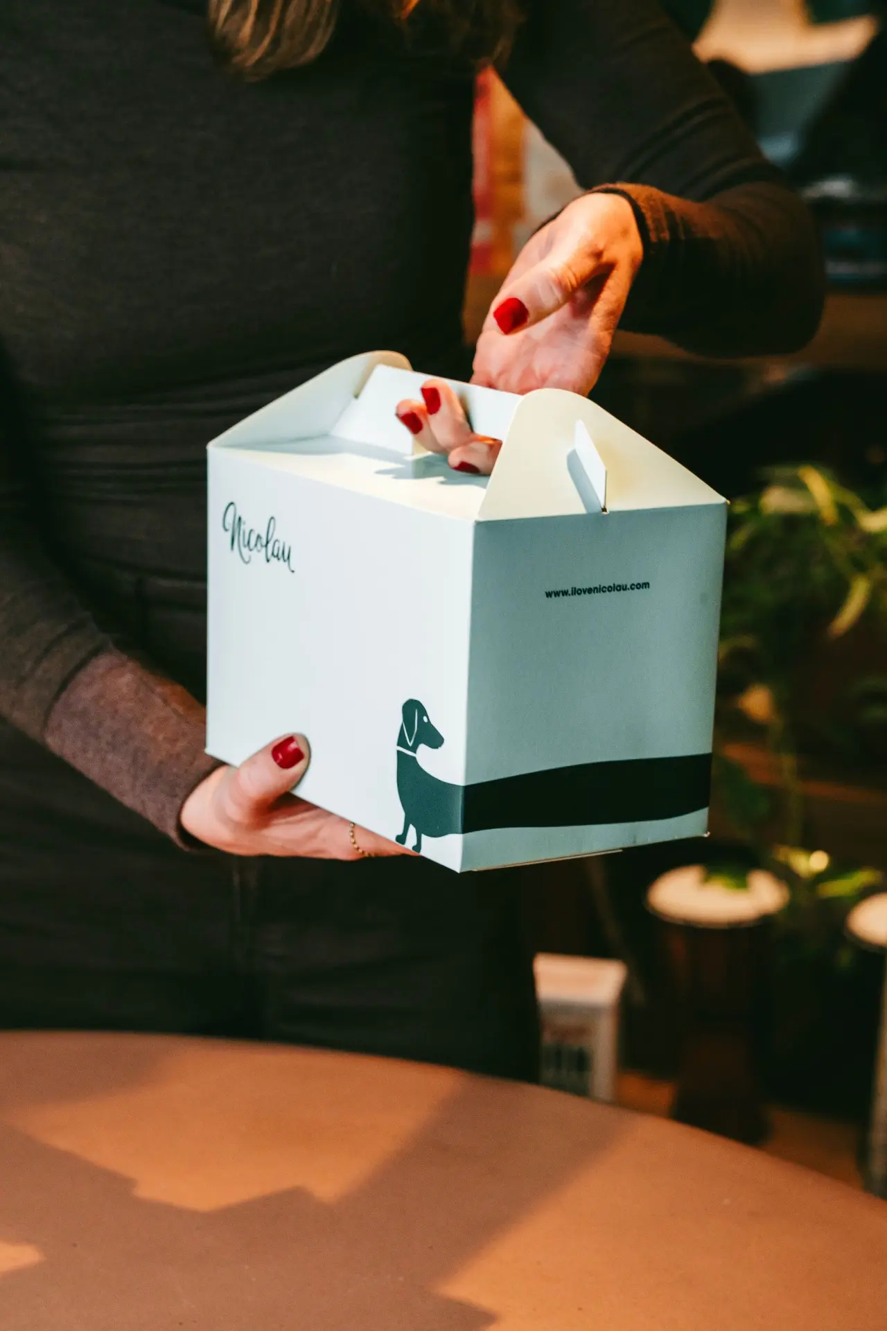 Single&#x20;Box