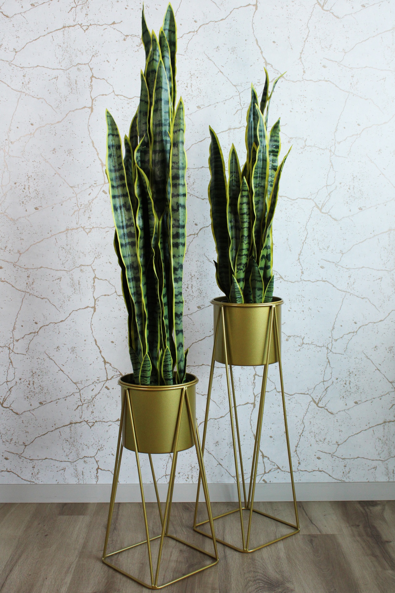 Duas plantas em vasos dourados altos frente a parede branca rachada