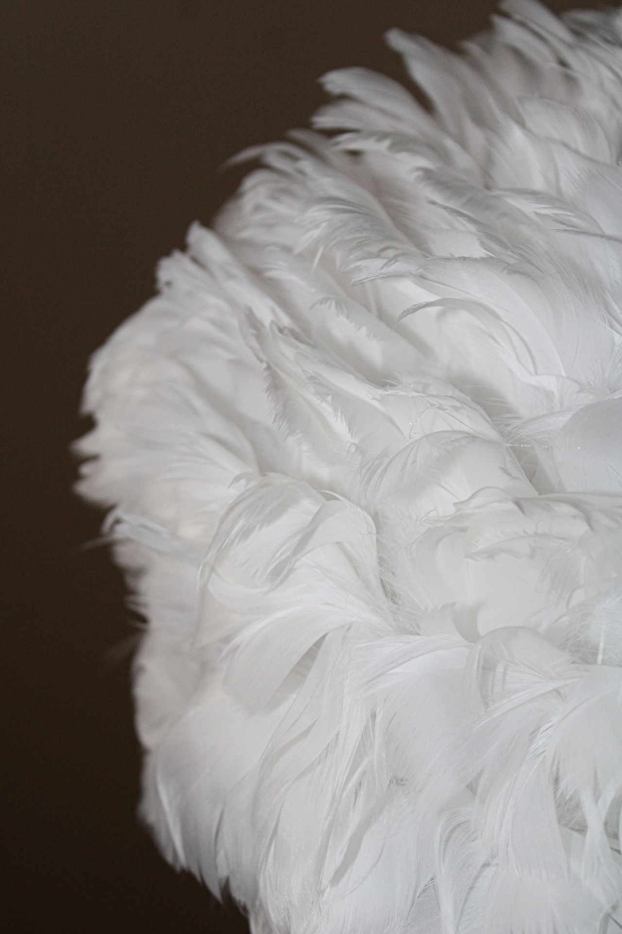 Objeto decorativo com muitas penas brancas macias