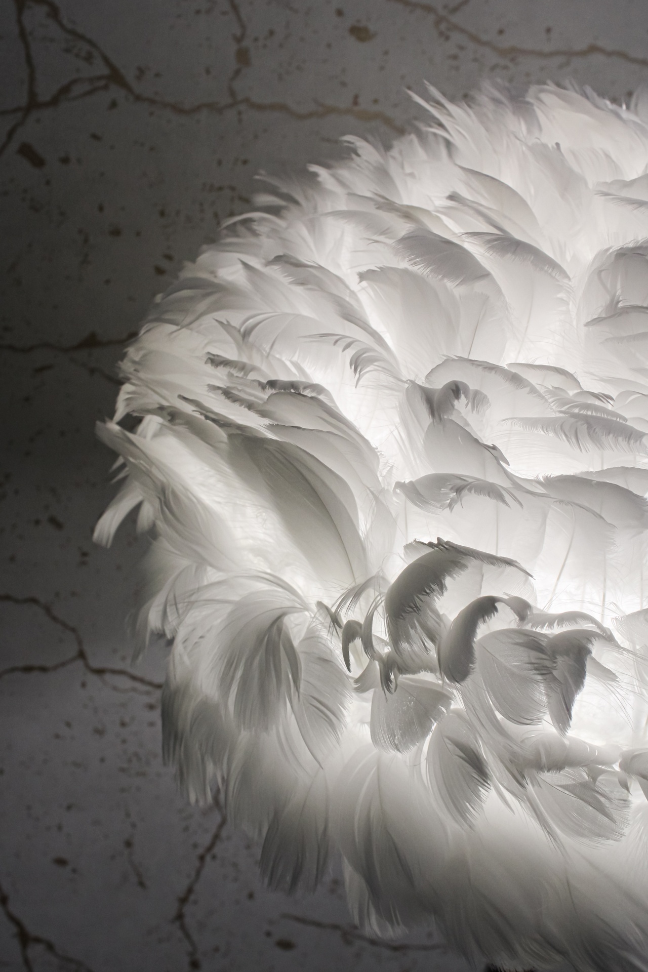 Lâmpada com penas brancas decorativa iluminada