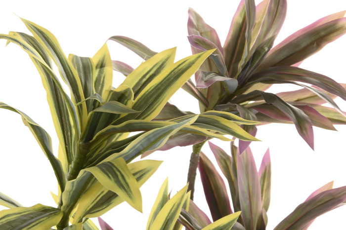 Plantas artificiais com folhas verde-limão e roxas num fundo branco