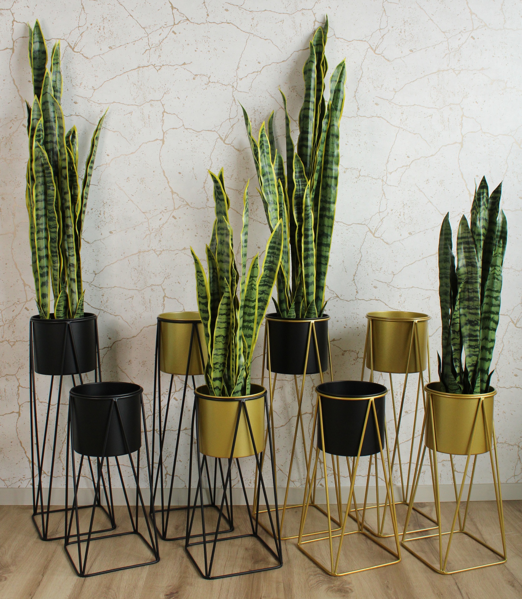 Vasos metálicos pretos e dourados com plantas verdes de folhas longas contra parede branca