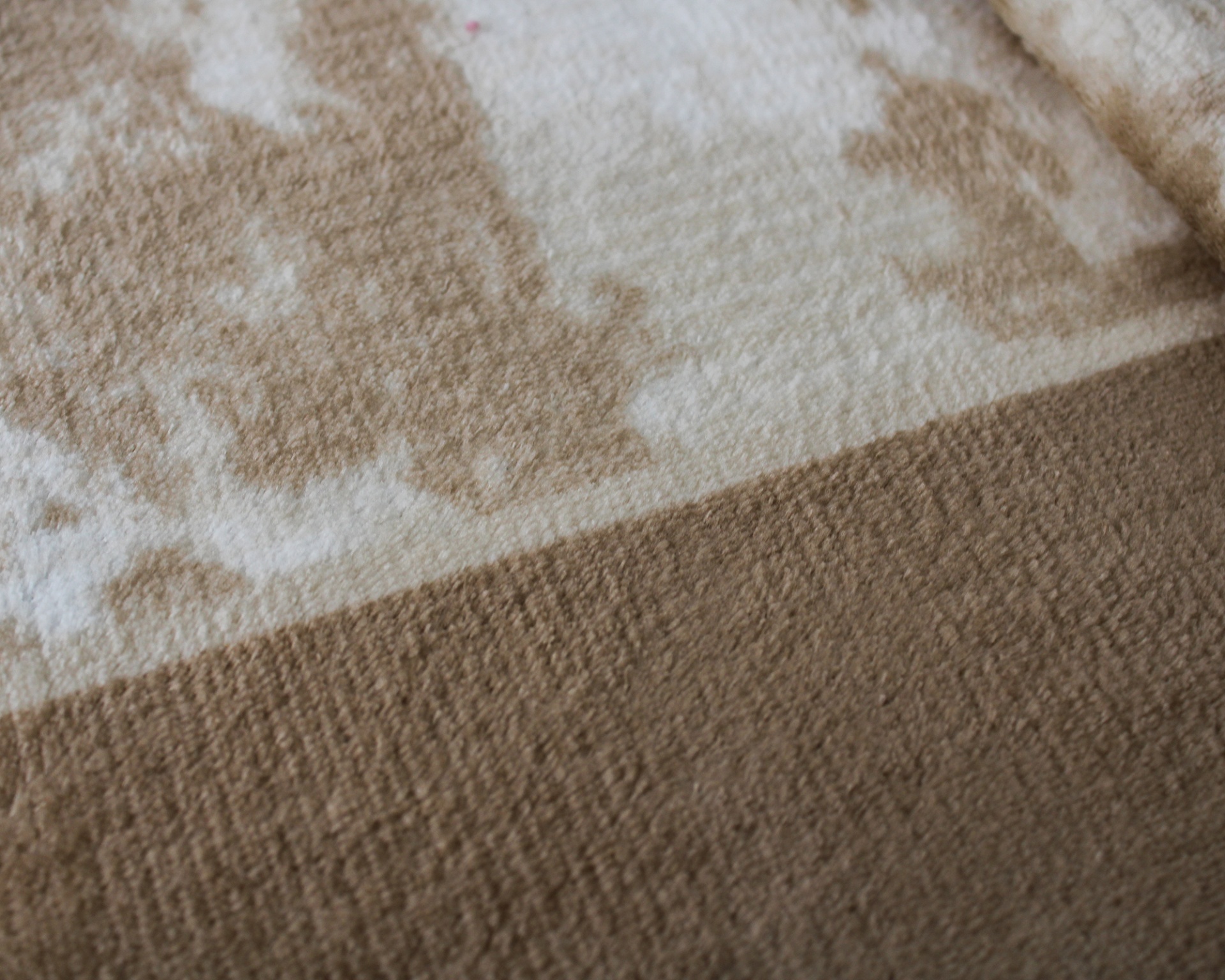 Tapete castanho claro com padrão floral em branco e bege