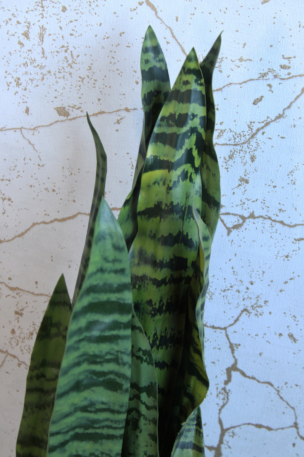 Folhas verdes com padrão listrado contra parede branca fissurada