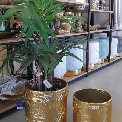 Vasos dourados texturizados com plantas e etiquetas de preço numa loja de decoração