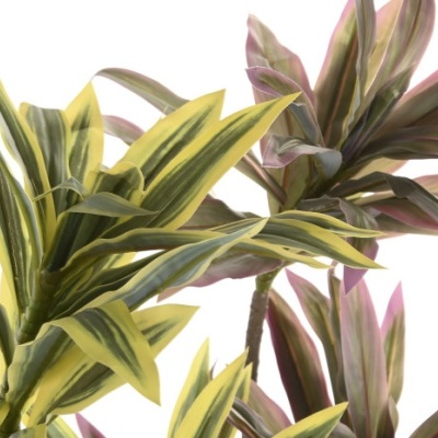 Plantas artificiais com folhas verde-limão e roxas num fundo branco