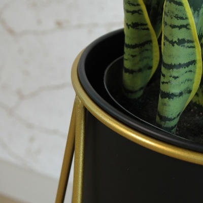 Vaso preto e dourado com planta de folhas verdes e amarelas