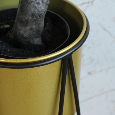 Vaso metálico dourado com suporte preto para planta e tronco