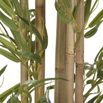 Hastes de bambu e folhas verdes com nervuras em fundo branco