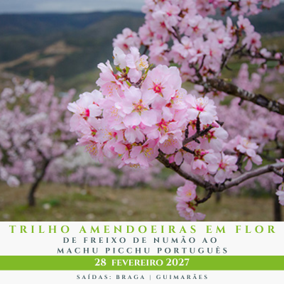Flores de amendoeira cor-de-rosa em ramo com campo e montanhas ao fundo.