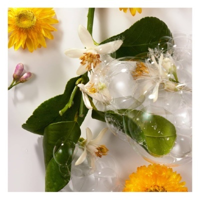 Flores amarelas e brancas com folhas verdes e bolhas de sabão