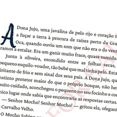 Página de livro com texto em português e título O presente da Grande Oliveira Oca