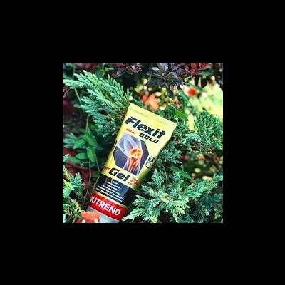 Tubo de gel Flexit Gold da Nutrend entre folhas de arbusto verde