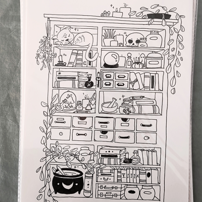 Ilustração a preto e branco de uma estante com vários objetos e um gato adormecido.