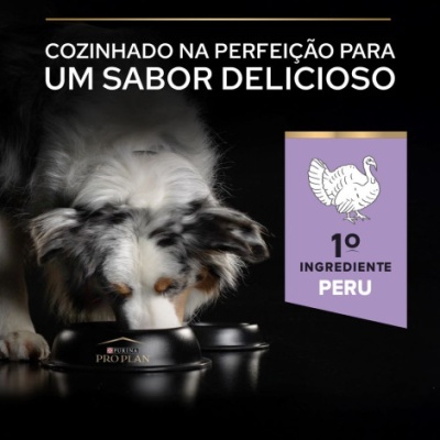 Cão a comer ração da tolha PURINA PRO PLAN com selo de peru como primeiro ingrediente