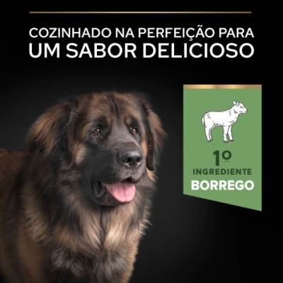 Cão castanho e preto com texto promocional e banner verde com ovelha e texto