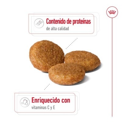 Croquetes castanhos com texto sobre proteínas e vitaminas em fundo branco.