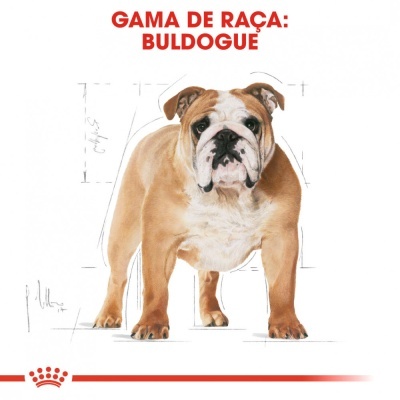 Cão Buldogue com texto 'GAMA DE RAÇA: BULDOGUE' e logotipo Royal Canin