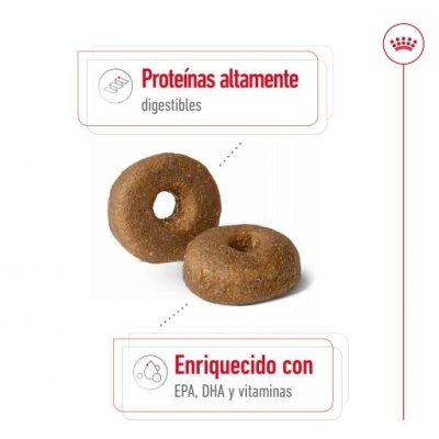 Dois biscoitos castanhos redondos com buraco no meio sobre fundo branco com texto promocional