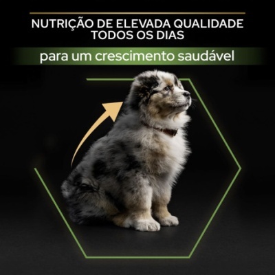 Filhote de cachorro cinza e branco com texto sobre nutrição saudável