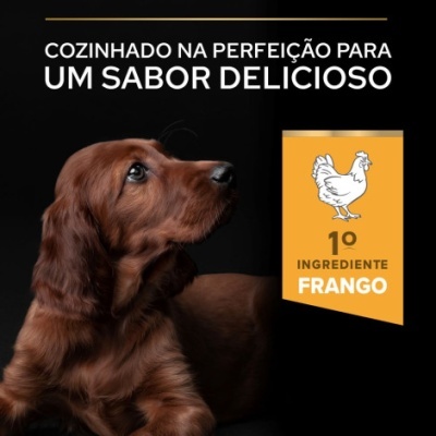 Cão castanho com texto sobre ingrediente principal frango em fundo preto