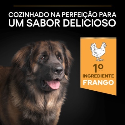 Cão grande castanho e preto em fundo preto com texto sobre sabor delicioso e ingrediente frango